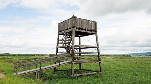 Utloppet från Hornborgasjön