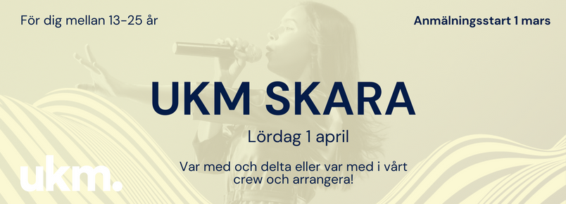 UKM-festival i Skara på Stureplan, festival där ung kultur möts
