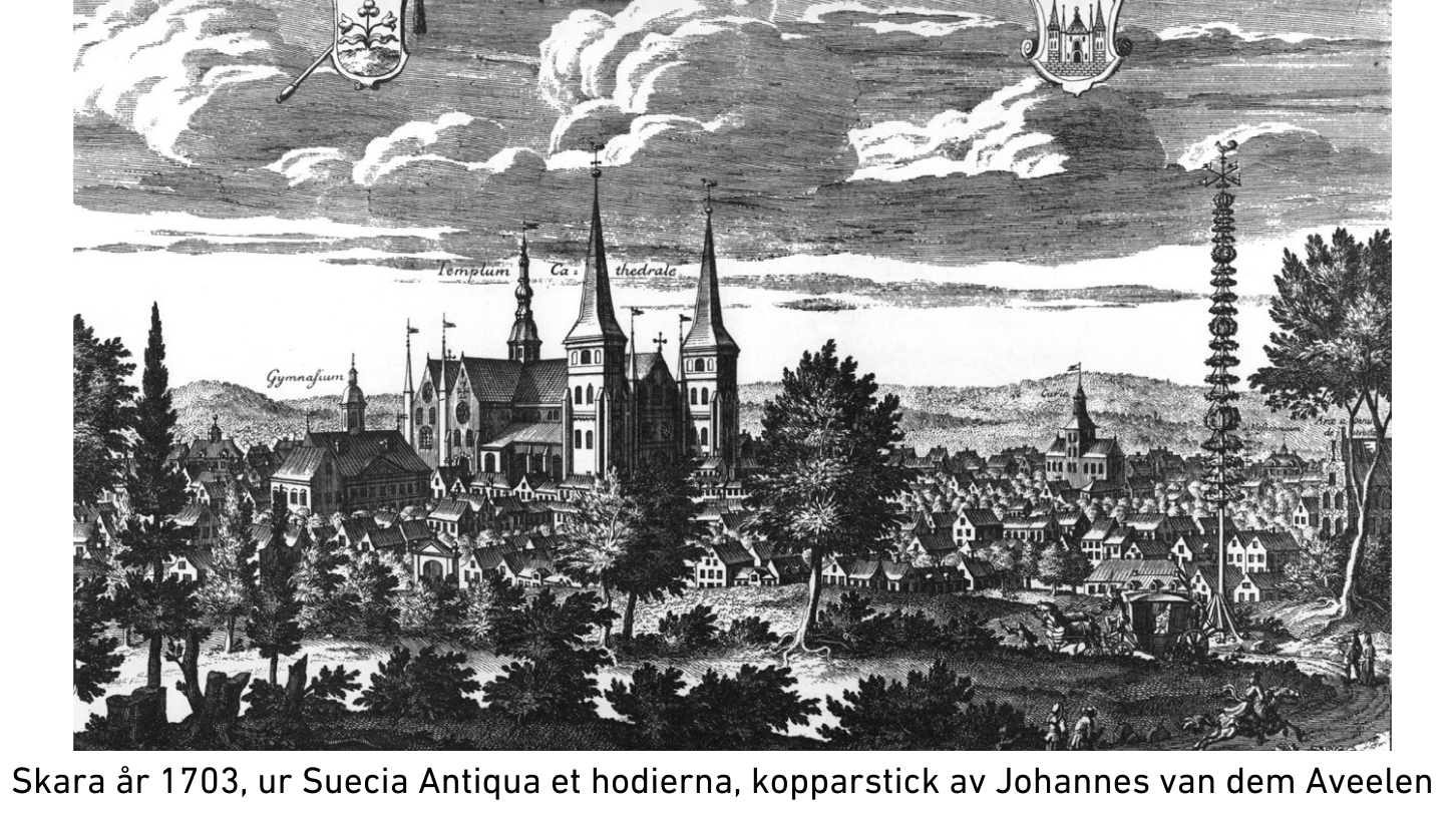 Svartvit bild av Skara, med Domkyrkan i bakgrund. Översikt över en småstad.