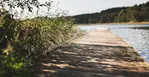 En brygga i närbild. Vass till vänster och sjön längre fram. 